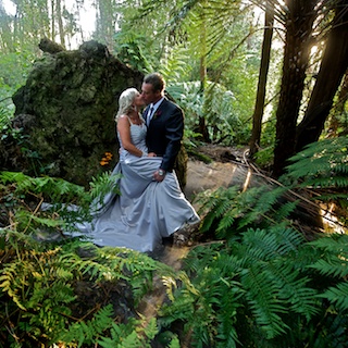Melbourne Wedding Photography in Wilderness Woodland