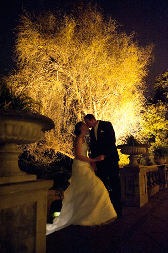 Wedding Photography outside Butleigh Wootton showing the willow tree in the floodlit garden.