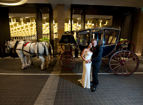 Wedding photography featuring a bride and groom with their horse drawn carriage in Melbourne